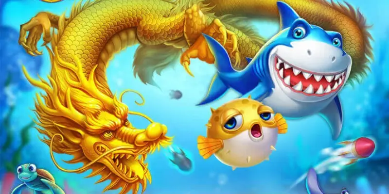 Thế giới sinh vật biển đa dạng, đầy bí ẩn chờ bạn khám phá
